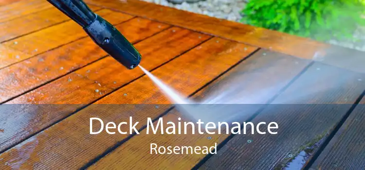 Deck Maintenance Rosemead